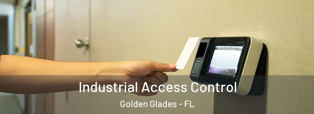  Industrial Access Control Golden Glades - FL