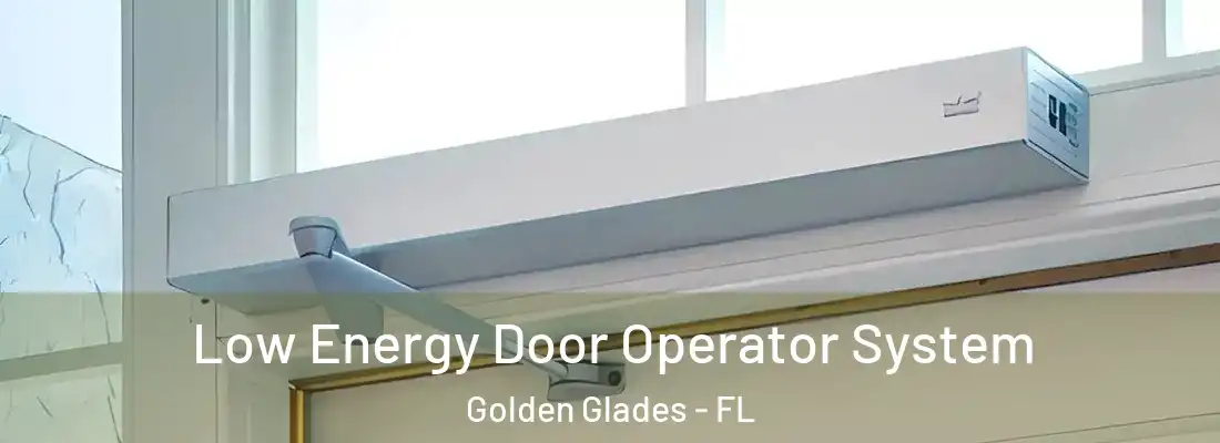  Low Energy Door Operator System Golden Glades - FL