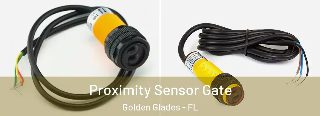 Proximity Sensor Gate Golden Glades - FL